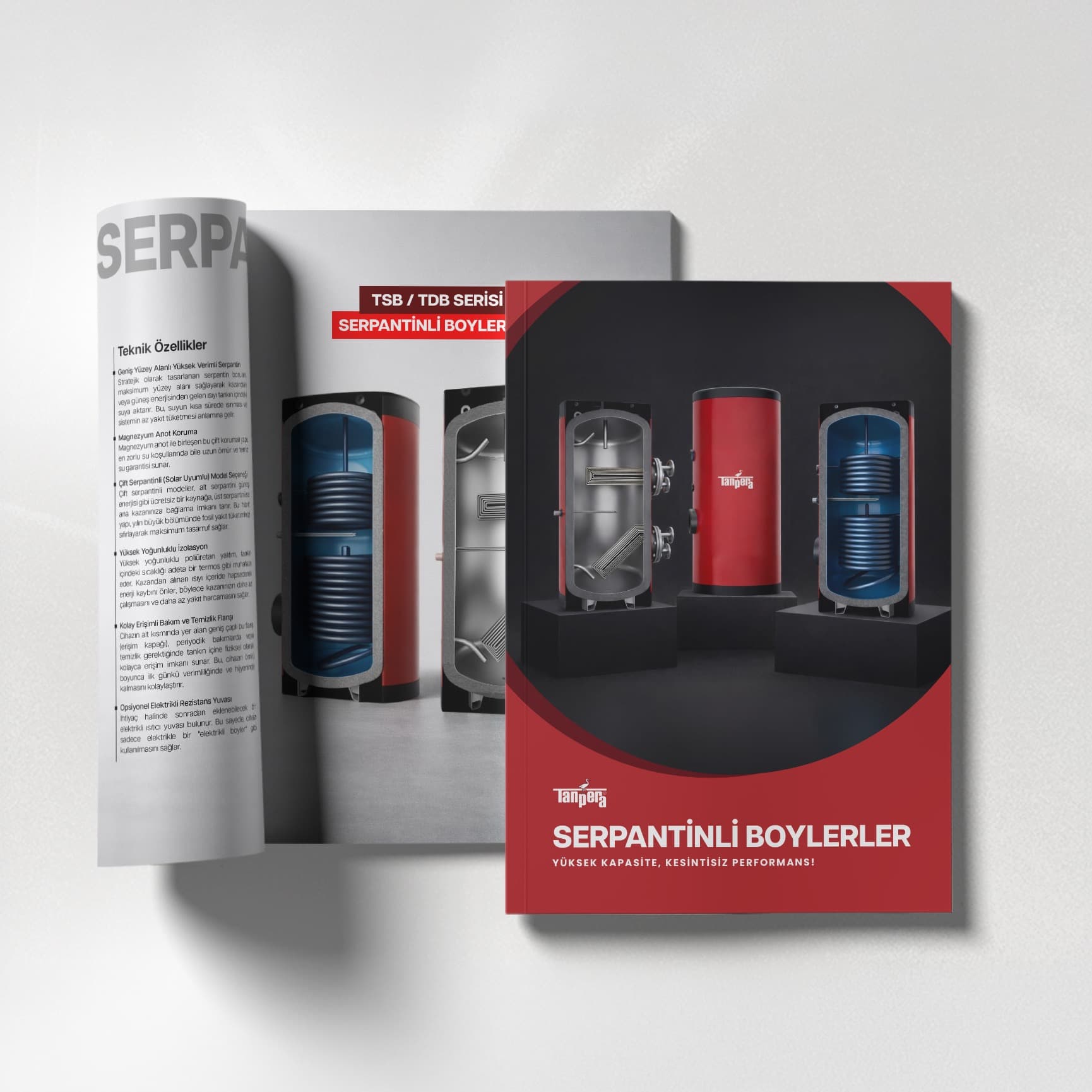 Replaceable Coil Boiler