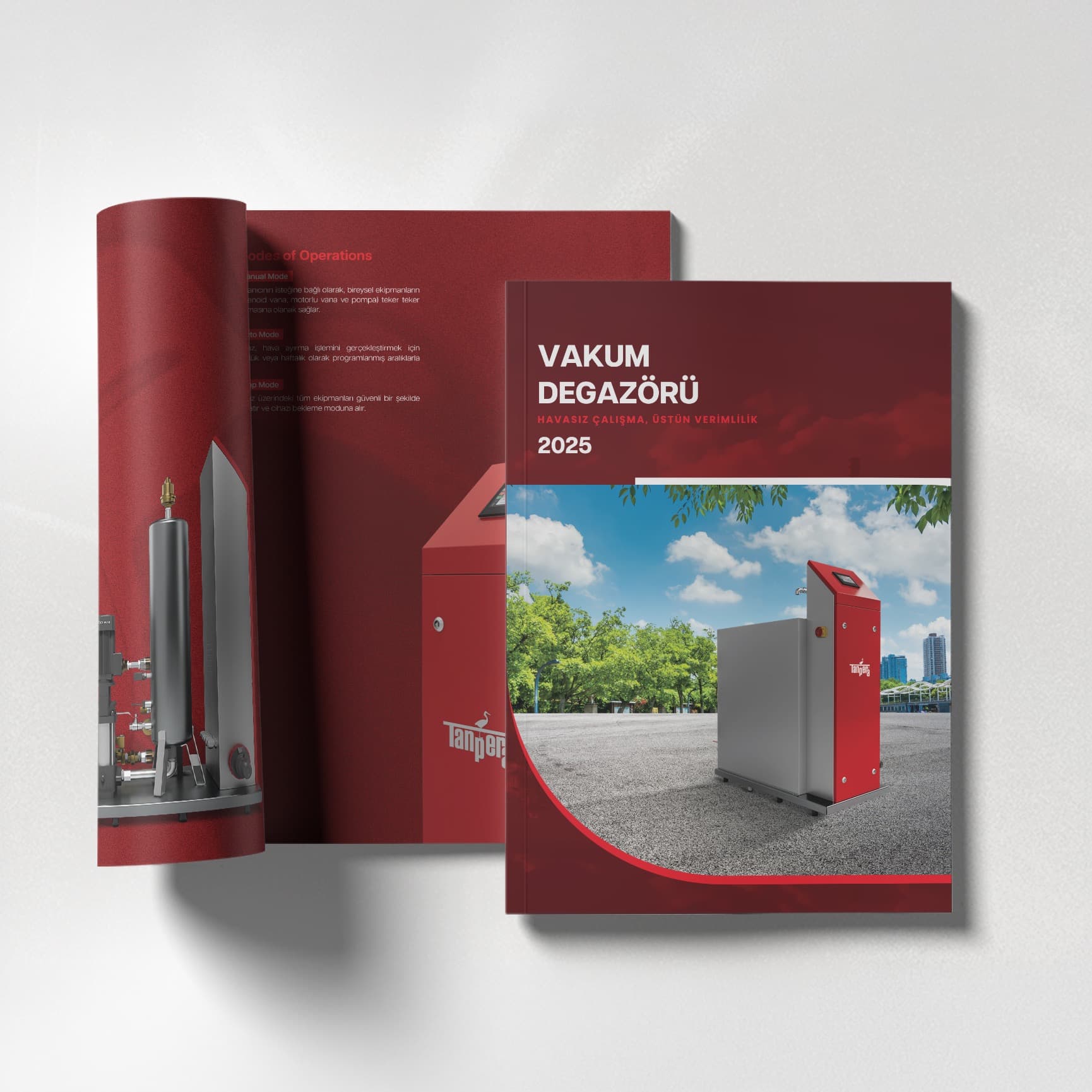 Vacuum Degasser
